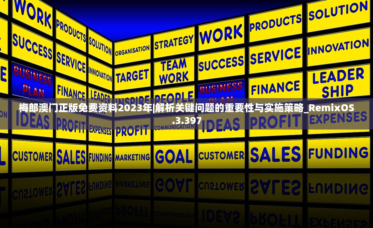 梅郎澳门正版免费资料2023年|解析关键问题的重要性与实施策略_RemixOS.3.397