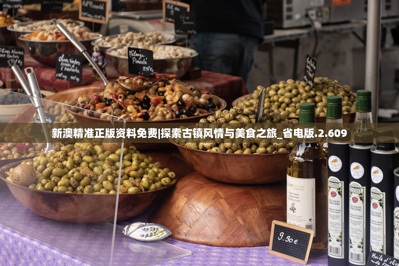 新澳精准正版资料免费|探索古镇风情与美食之旅_省电版.2.609