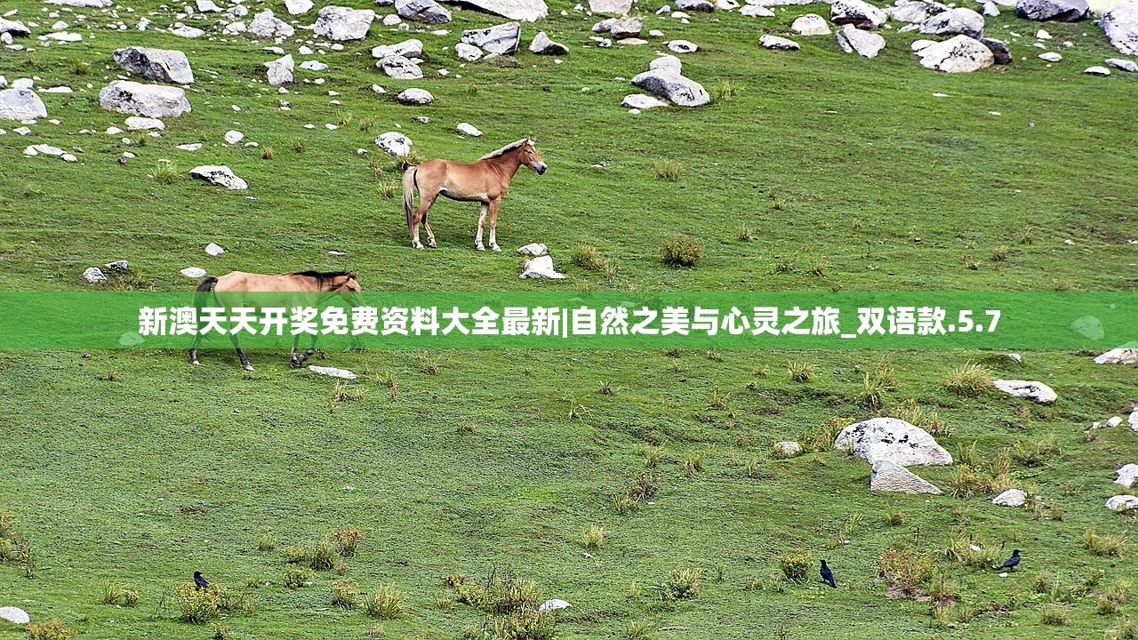 (绯梦的意思)绯梦契约平民职业推荐，打造你的游戏人生