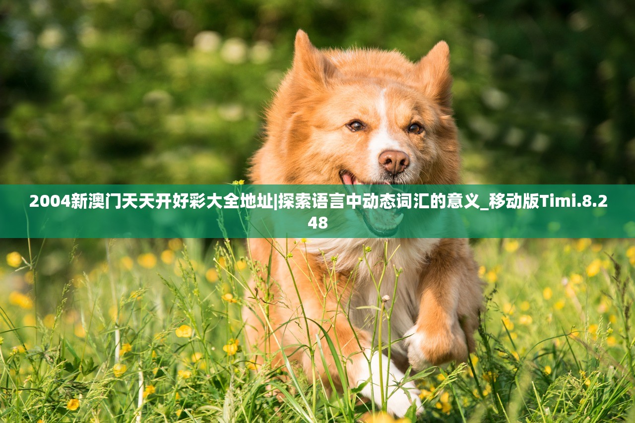 2004新澳门天天开好彩大全地址|探索语言中动态词汇的意义_移动版Timi.8.248
