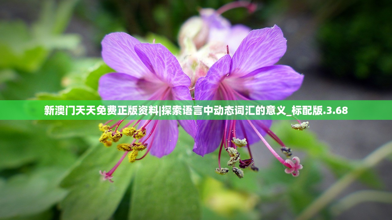 新澳门天天免费正版资料|探索语言中动态词汇的意义_标配版.3.68