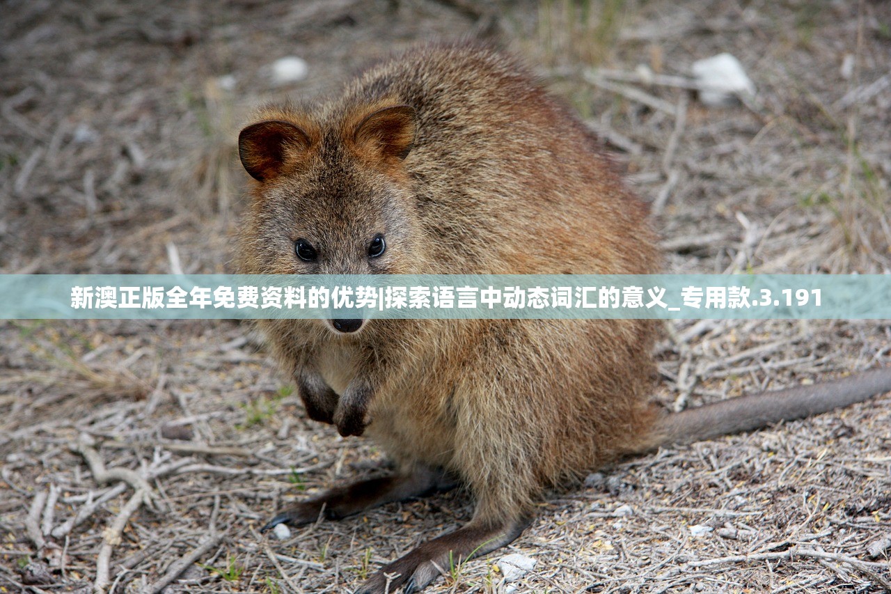 (巴雄天下停服了还能玩吗)巴雄天下停服原因深度解析