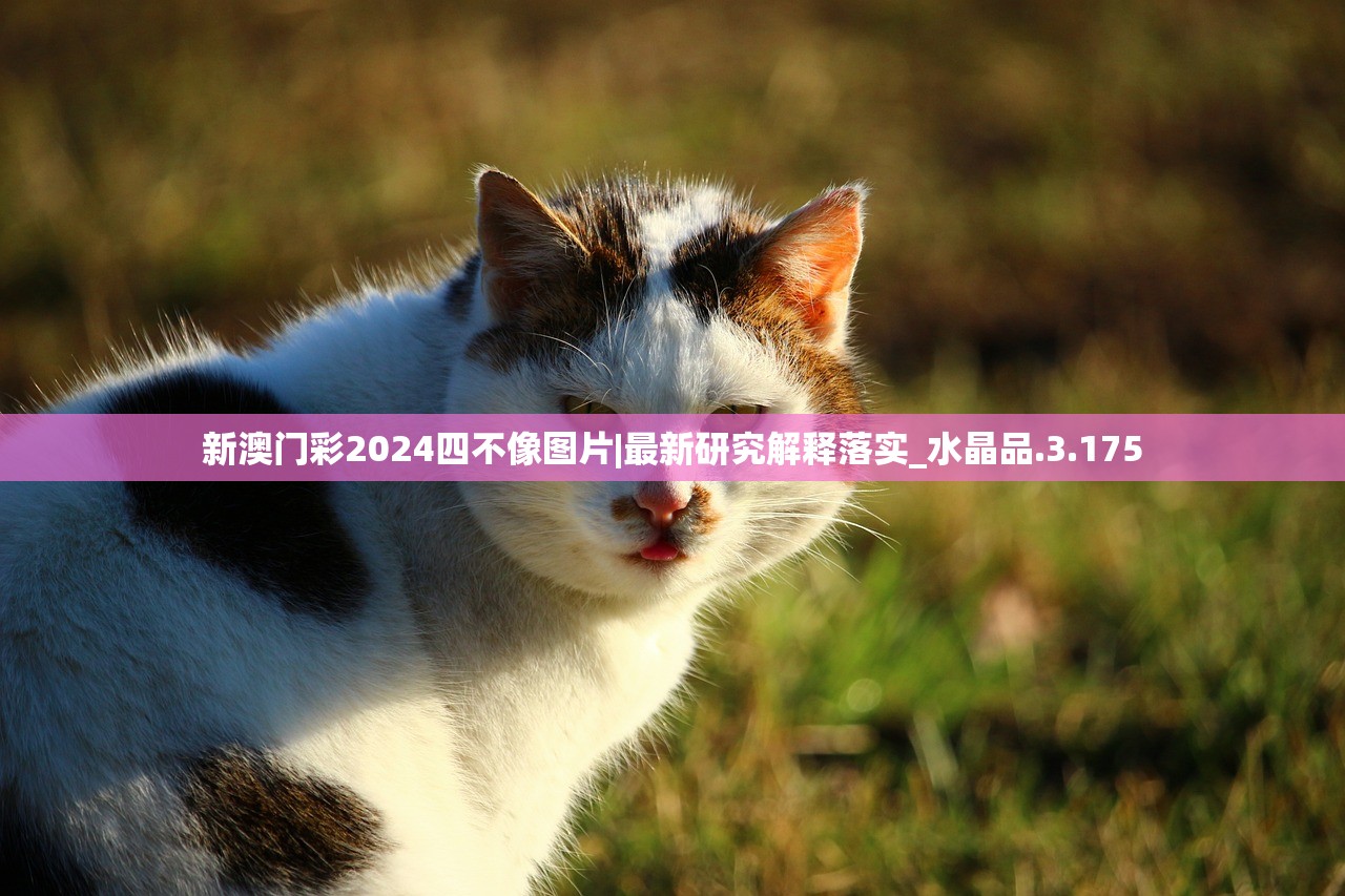 (你是我的小三国在线观看)你是我的小三国——一段跨越时空的情感之旅