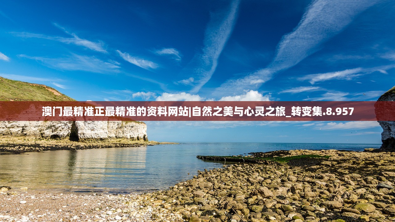 (神火大陆职业选择推荐攻略)神火大陆职业选择，探索最佳路径