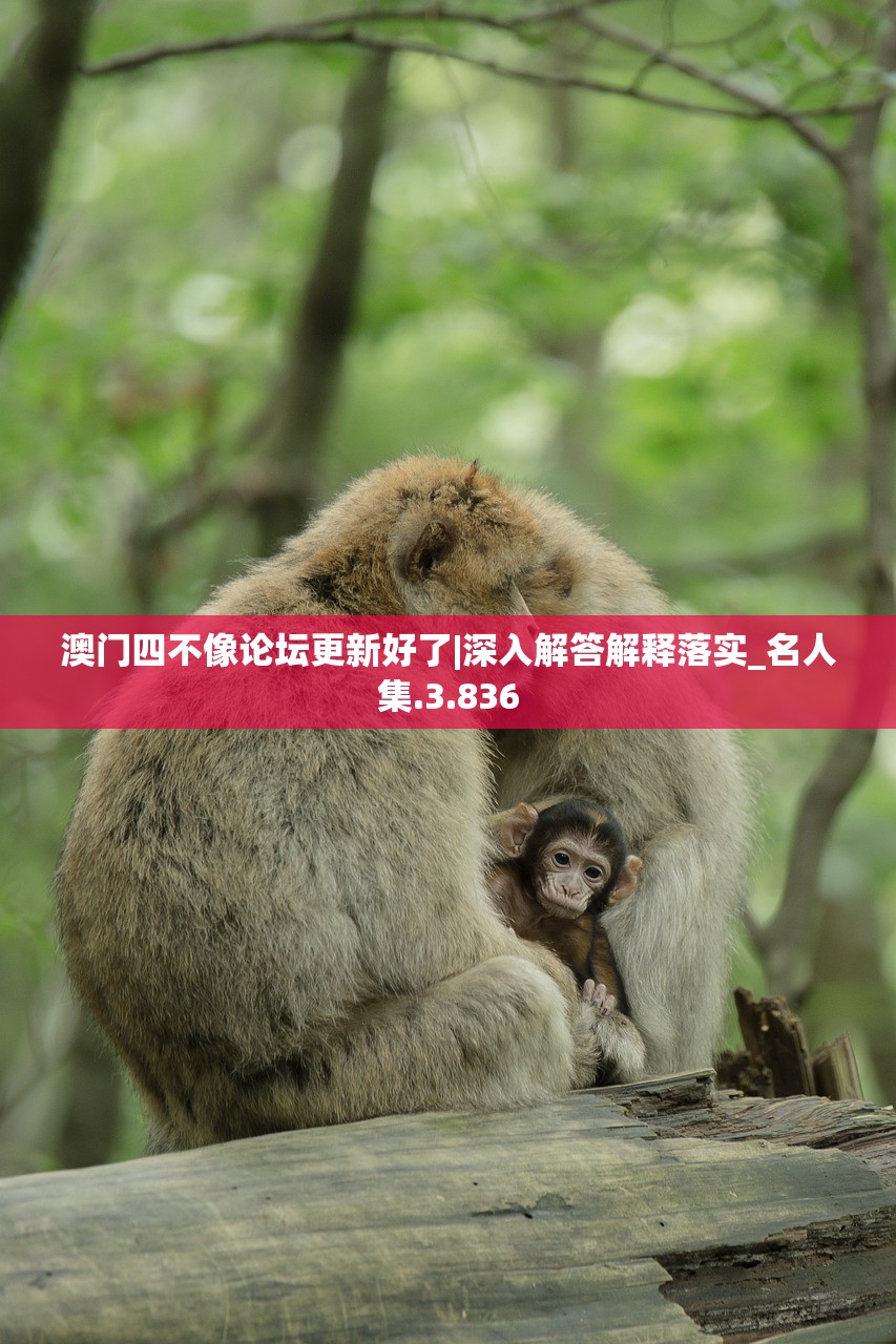 (魔女小卡阵容搭配图)魔女小卡阵容搭配策略及详解