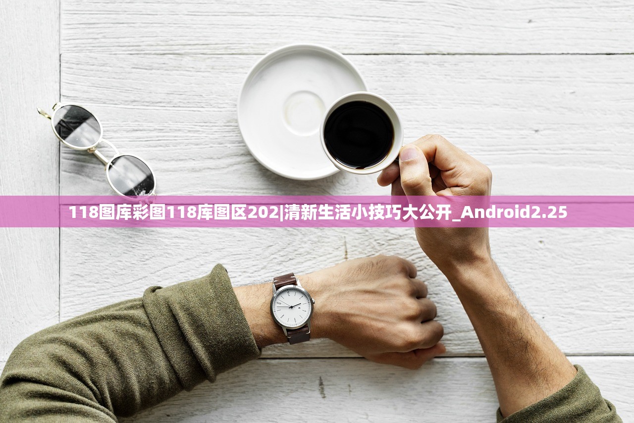 (张劲松比赛视频)王者CBA，张劲松的篮球之路与传奇