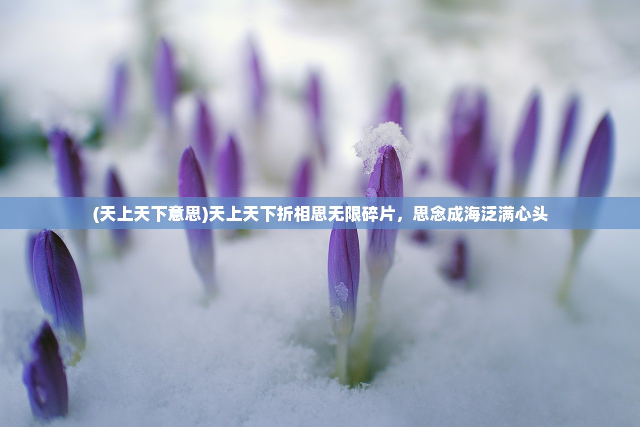 (不朽仙途游戏名字大全)不朽仙途游戏，探索奇幻的修仙世界