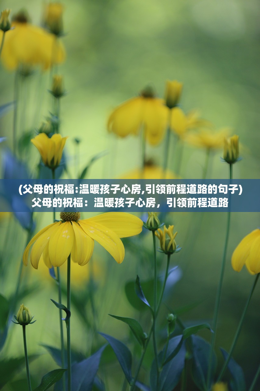 (希尔兰斯战记剧情第二章宝箱)希尔兰斯战记剧情第二章，转折与冲突
