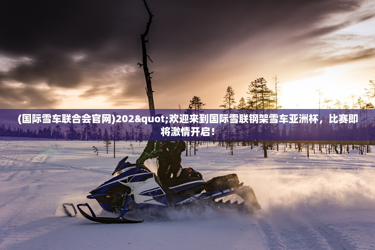 (交叉次元贴吧)探索交叉次元吧，次元交汇的奇幻世界
