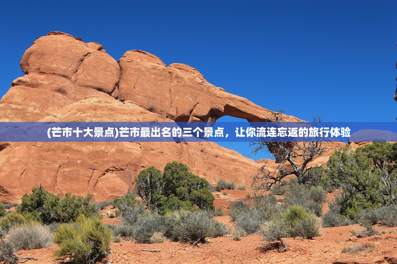 (赤痕夜之仪式全成就攻略)赤痕夜之仪式地图顺序详解与常见问题解答
