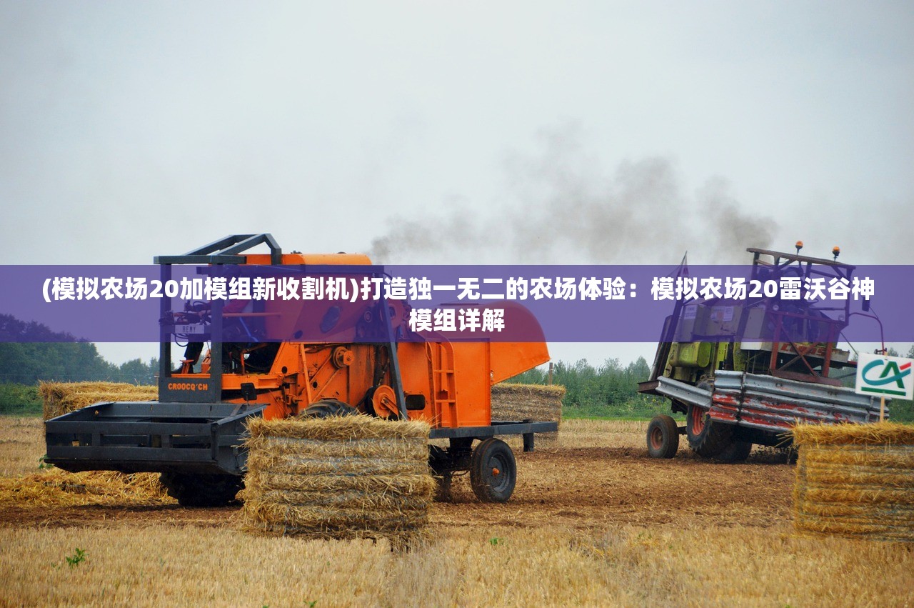 (神机三国是什么游戏)神机三国是否仍在运营？全面解析当前状态与未来展望