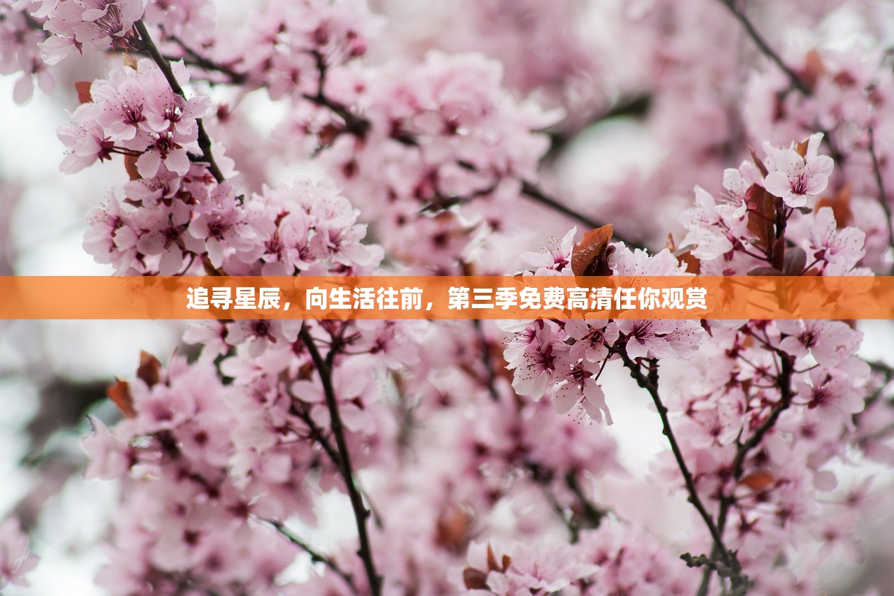 (拼图迷宫的技巧)拼图迷宫Furry，一场跨越界限的冒险之旅
