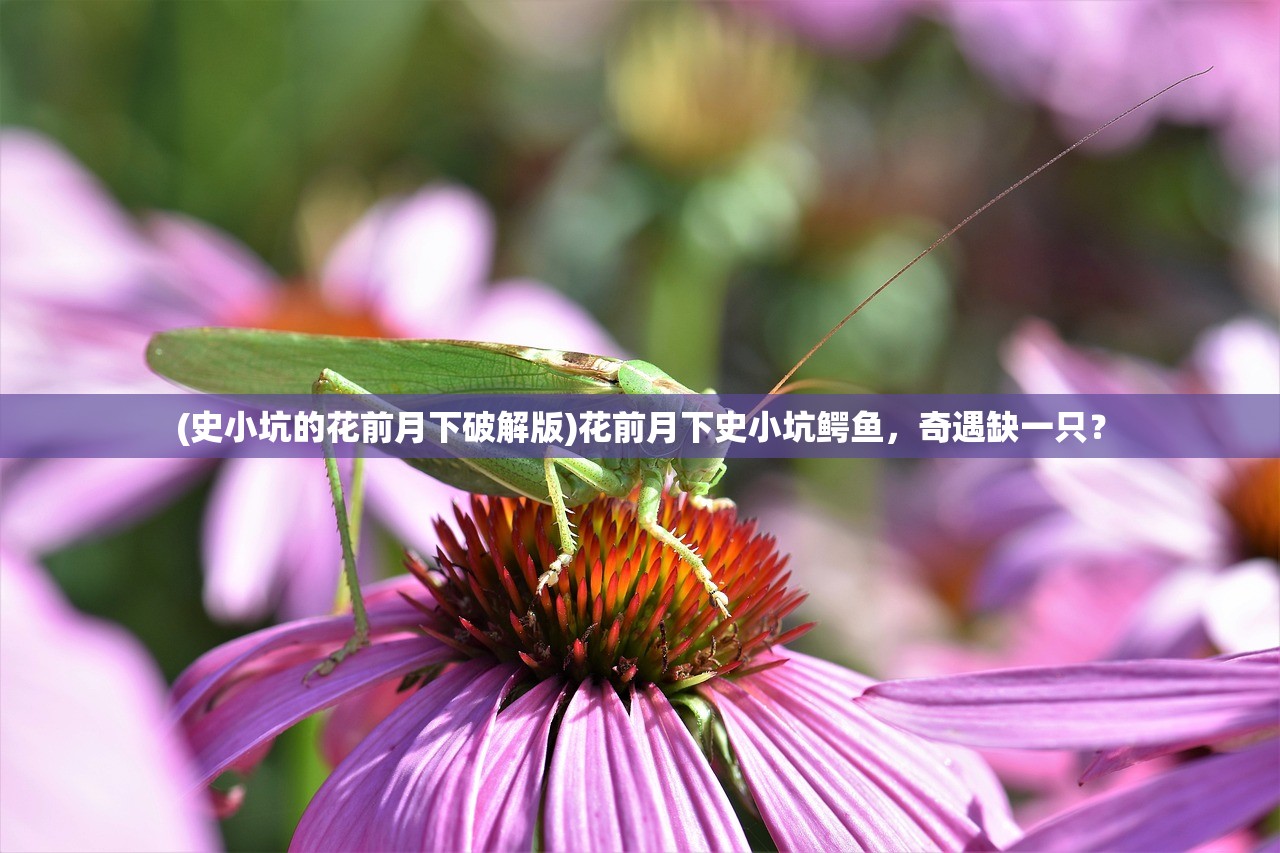 (归龙巢手游支线花架的堂屋新阳的成新娘的)归龙巢手游，深入探索游戏世界的奇幻之旅