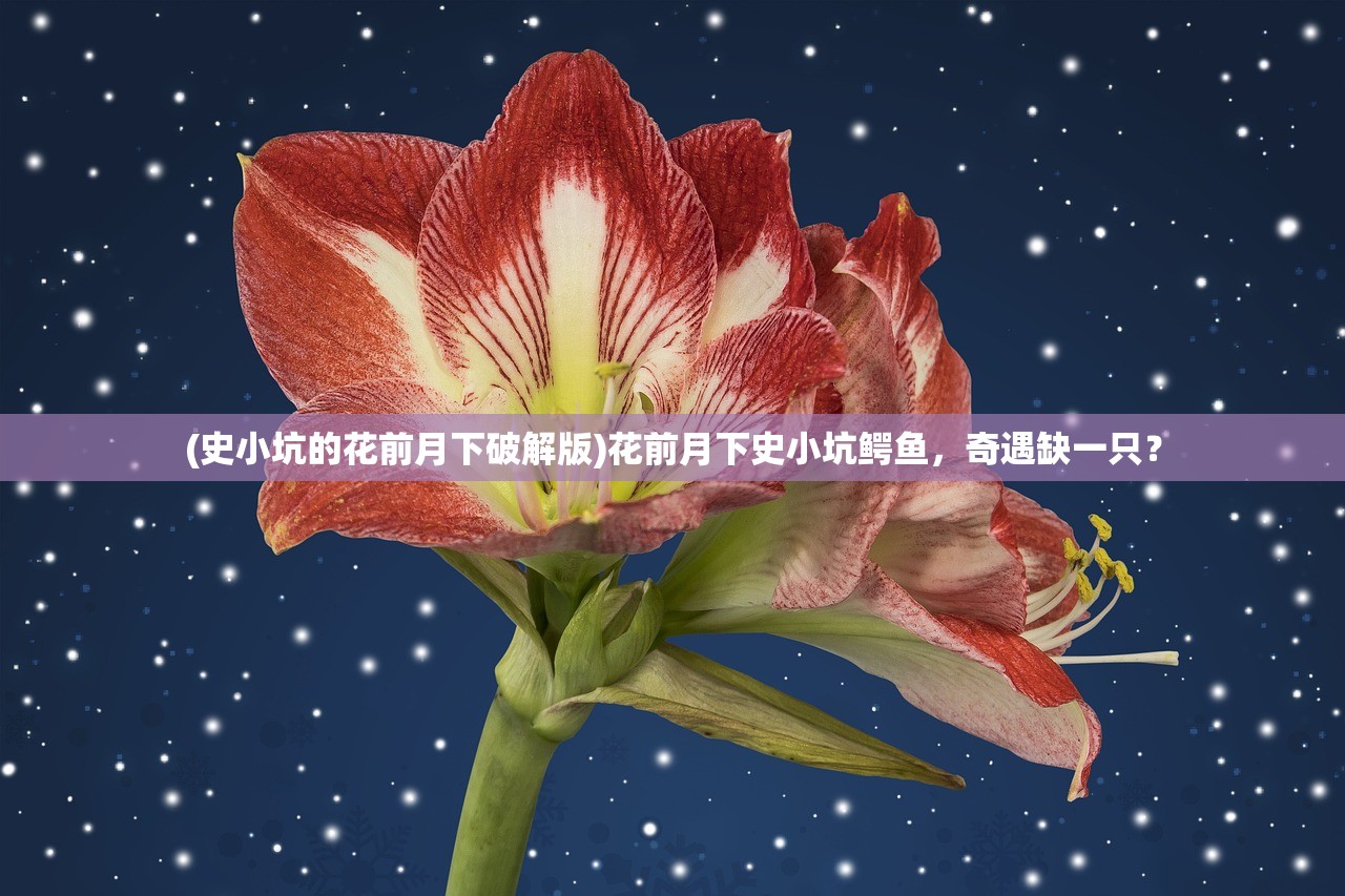 (恋语集织梦书cg攻略)恋语集织梦书男主深度解析