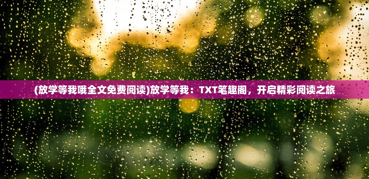 (放学等我哦全文免费阅读)放学等我：TXT笔趣阁，开启精彩阅读之旅