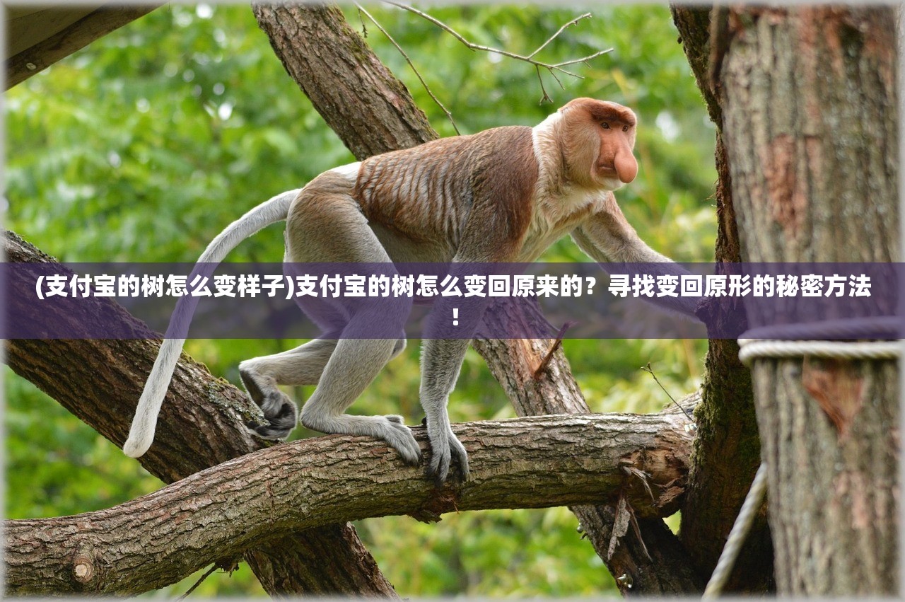 (支付宝的树怎么变样子)支付宝的树怎么变回原来的？寻找变回原形的秘密方法！