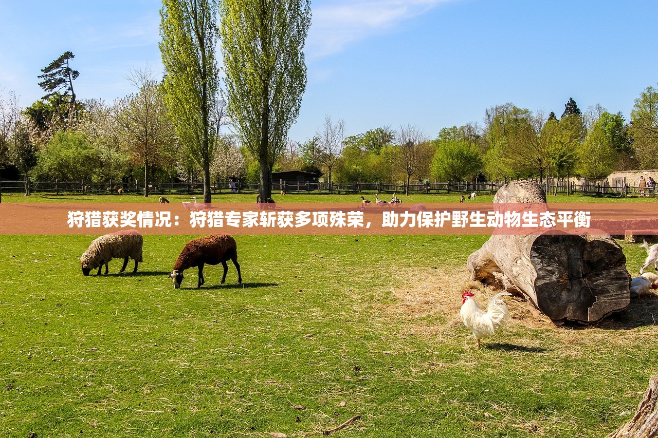 (螺旋风暴不更新了)螺旋风暴停服原因深度解析