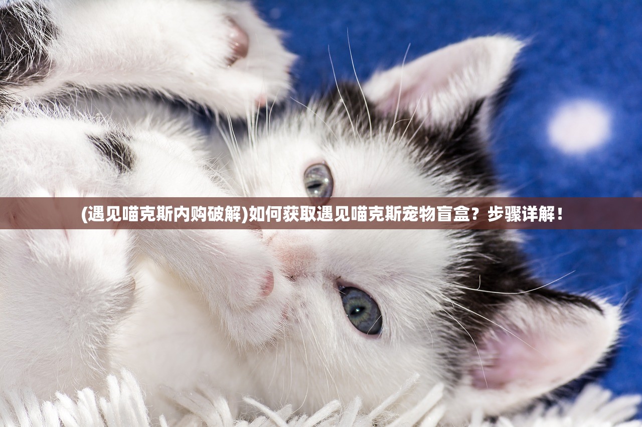 (绝区零在哪下载最好)绝区零游戏下载指南，全方位解析下载途径与常见问题解答