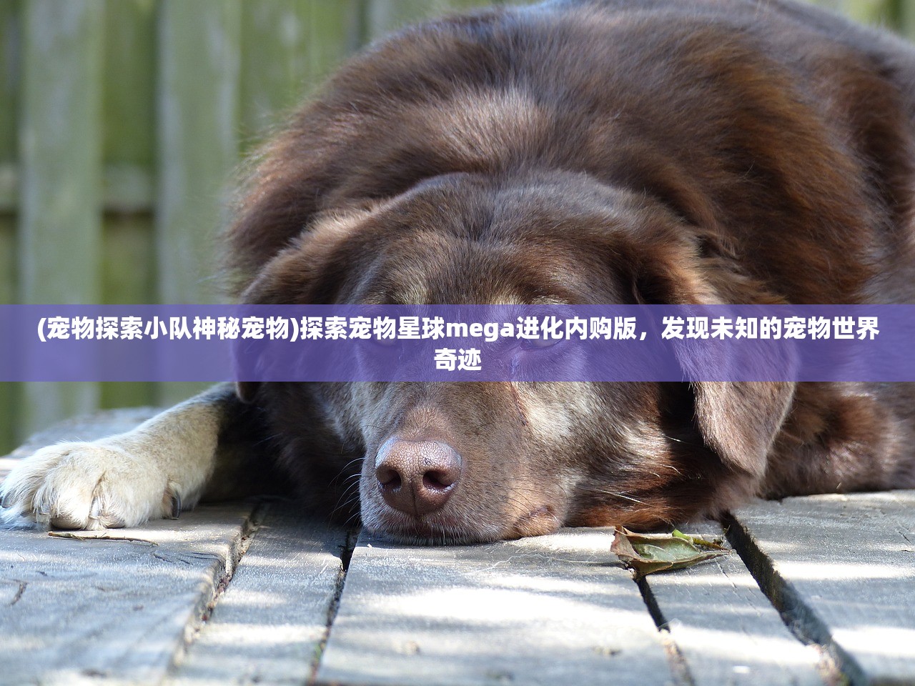 (魂武者手游下载)魂武者SF，深度解析与常见问题解答