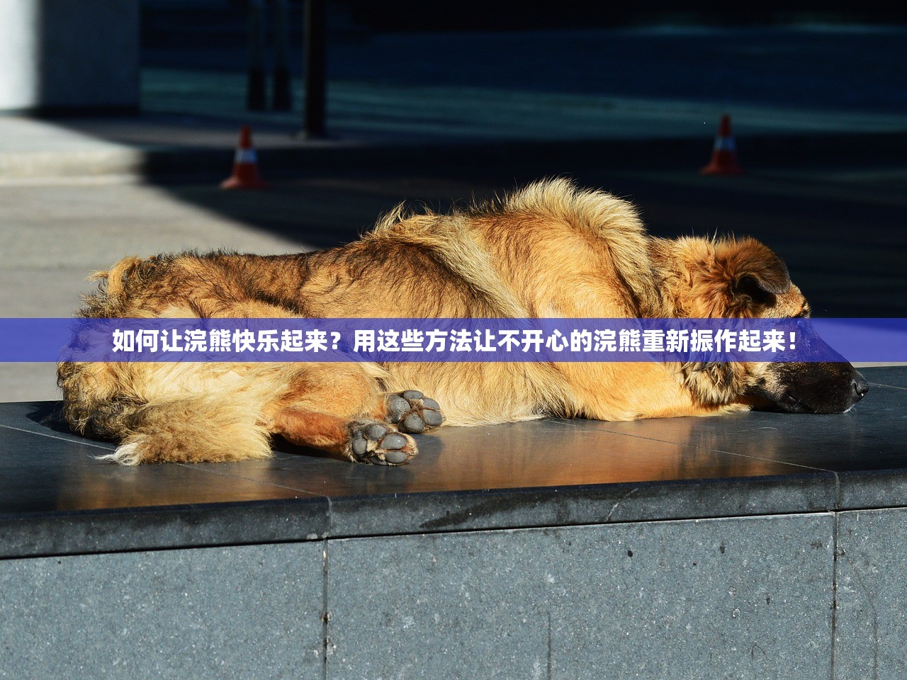 (魔力宝贝 复刻)魔力宝贝复兴奇遇任务坐标详解与探索