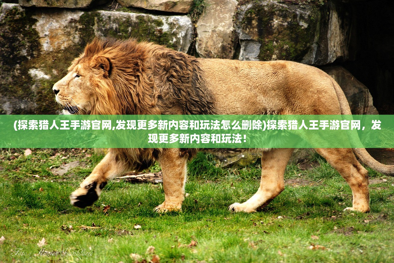 (桃源记什么时候正式上线)桃源记2公测时间揭秘，期待与未知的冒险之旅