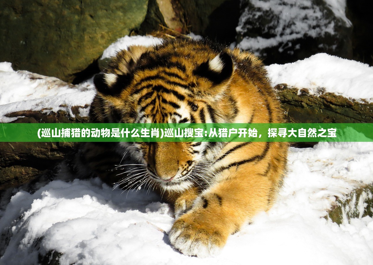 (碧雪情天120级新技能开启)碧雪情天3D手游，探究最强势职业