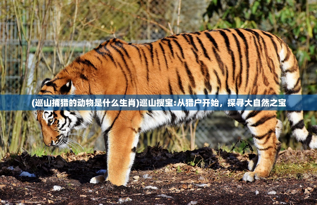 (萌王史莱姆壁纸高清)萌王史莱姆4K超清壁纸横屏，潮流之选与深度探索