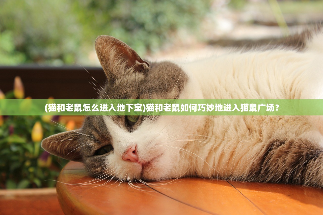 (大话悟空手游攻略)大话悟空手游，深度解析与常见问题解答