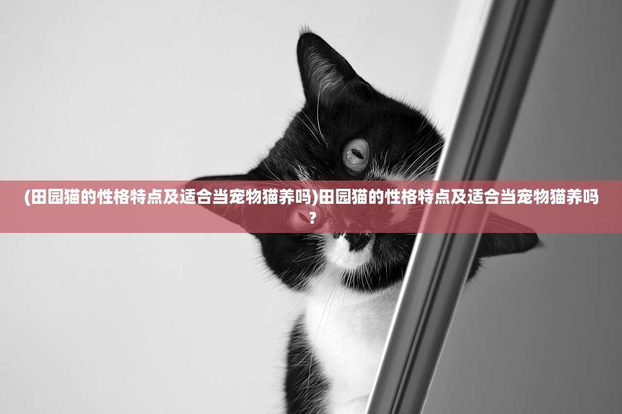 (皇后成长计划2弘历攻略详细)皇后成长计划2，弘昼攻略详解及常见问题解答