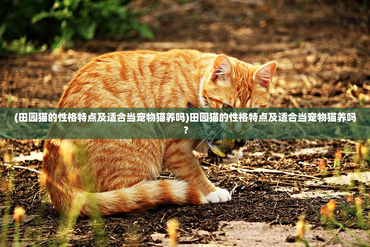 (地下城堡3魂之师氪金吗贴吧)地下城堡3，魂之师是否氪金过度？深度分析与探讨