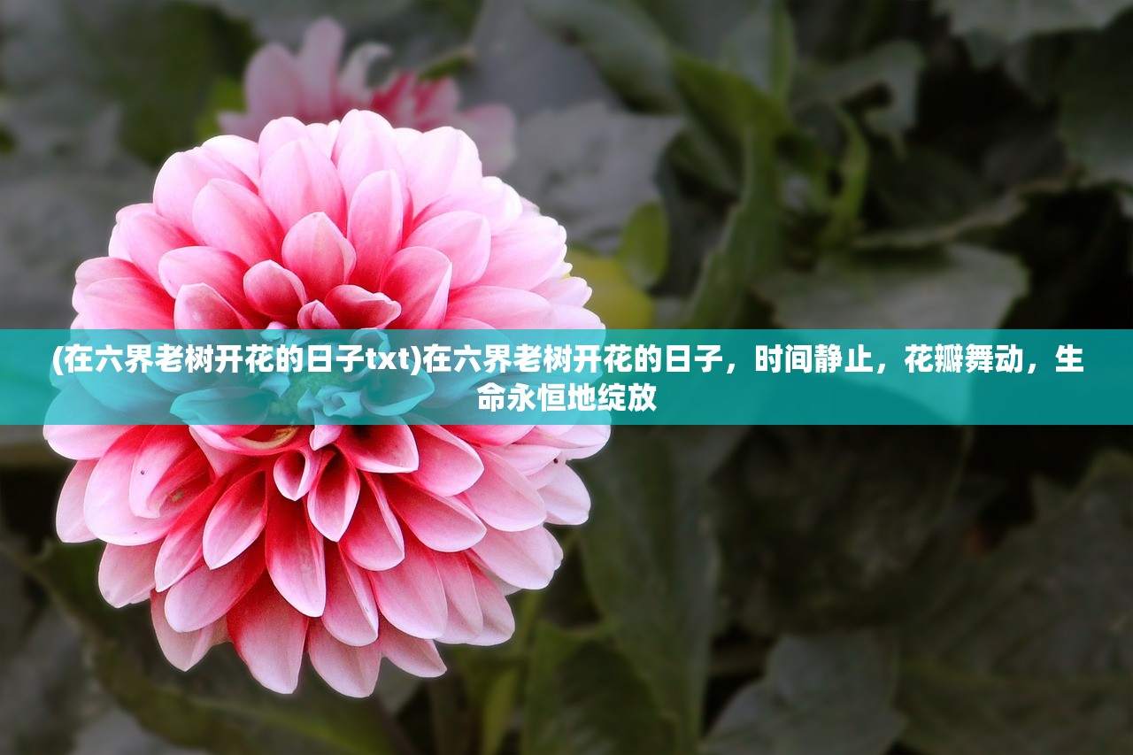 (守望先锋缺少权限什么意思)守望先锋经典版缺失重要功能，深度分析与FAQ