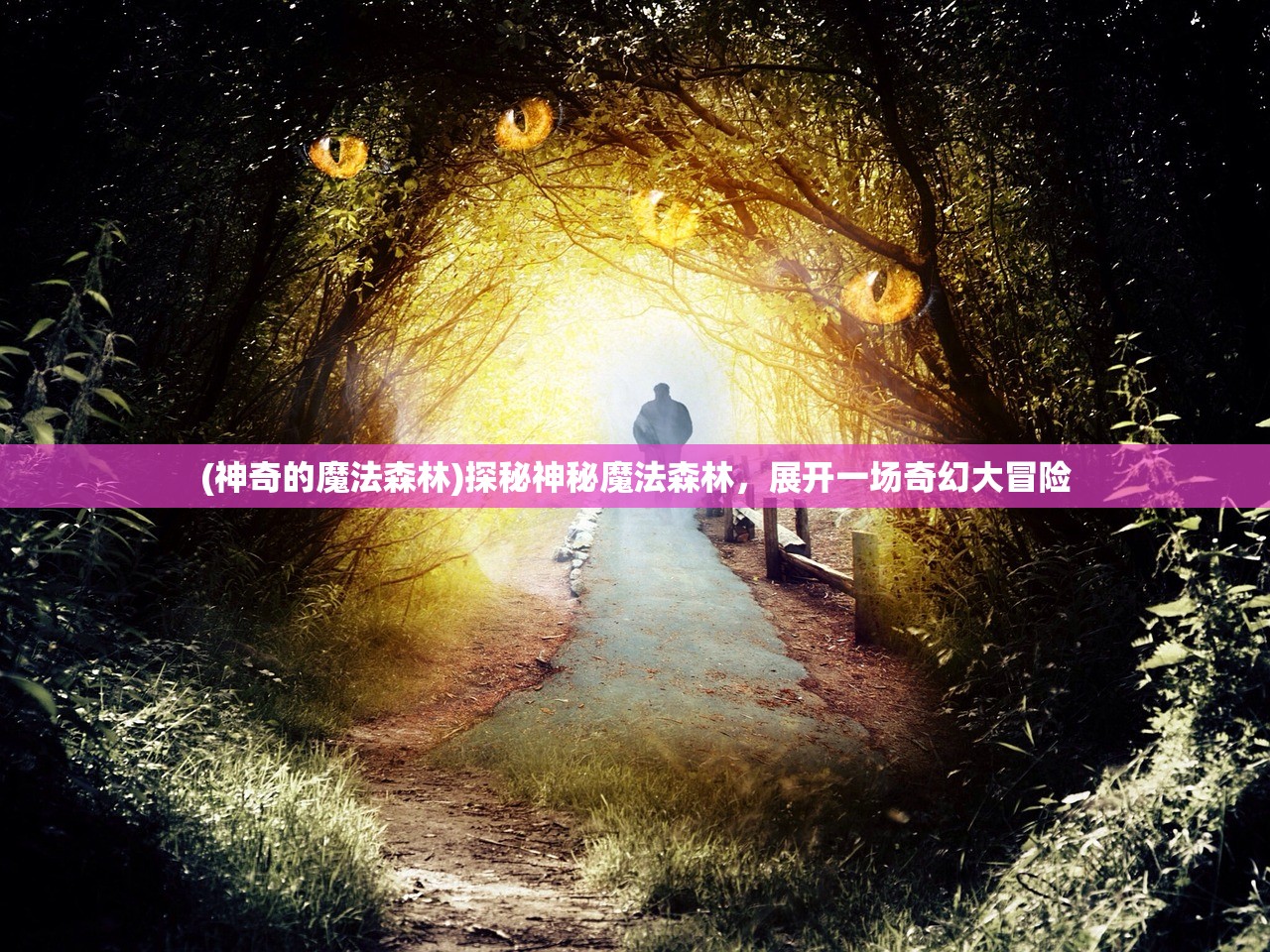 (朝鲜逃离乌托邦完整版视频)逃离乌托邦，深度解析朝鲜现状及其影响