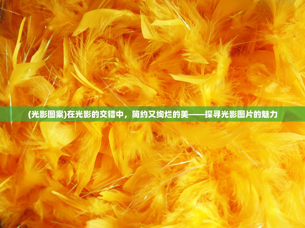 (群星之子逃婚录百度百科)群星之子逃婚录，一场跨越星系的奇幻之旅