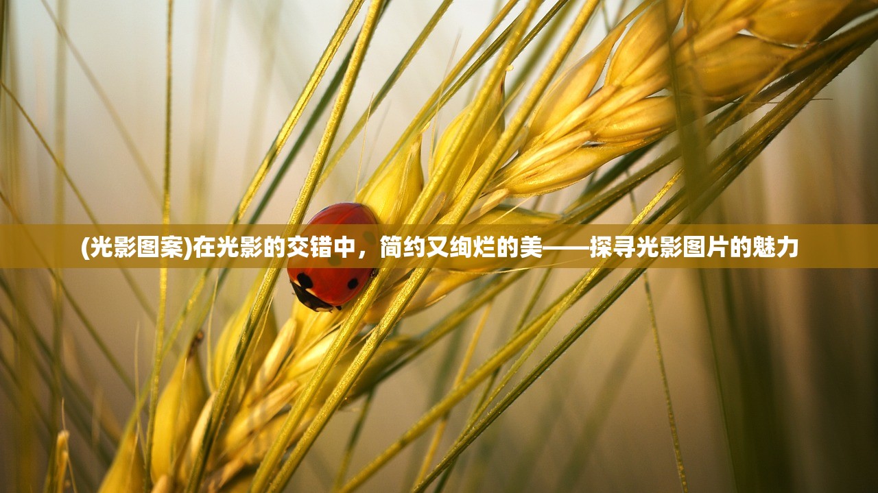(仙剑奇侠传新手攻略)仙剑奇侠传零氪玩家攻略宝典，最佳游戏指南