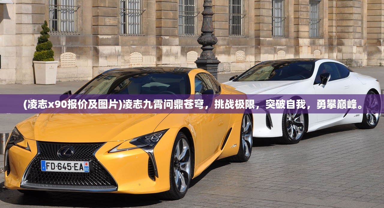 (代号远征什么时候上线)代号远征手游，探索未知世界的奇幻之旅