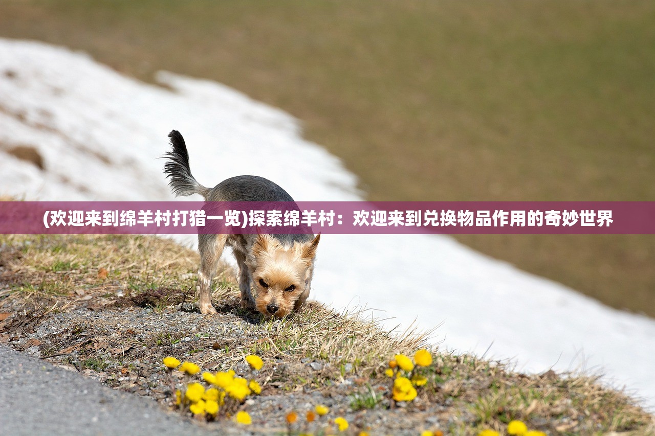 (斗罗十年龙王传说百度版)斗罗十年龙王传说资源百度云，追溯经典与探索传奇之旅