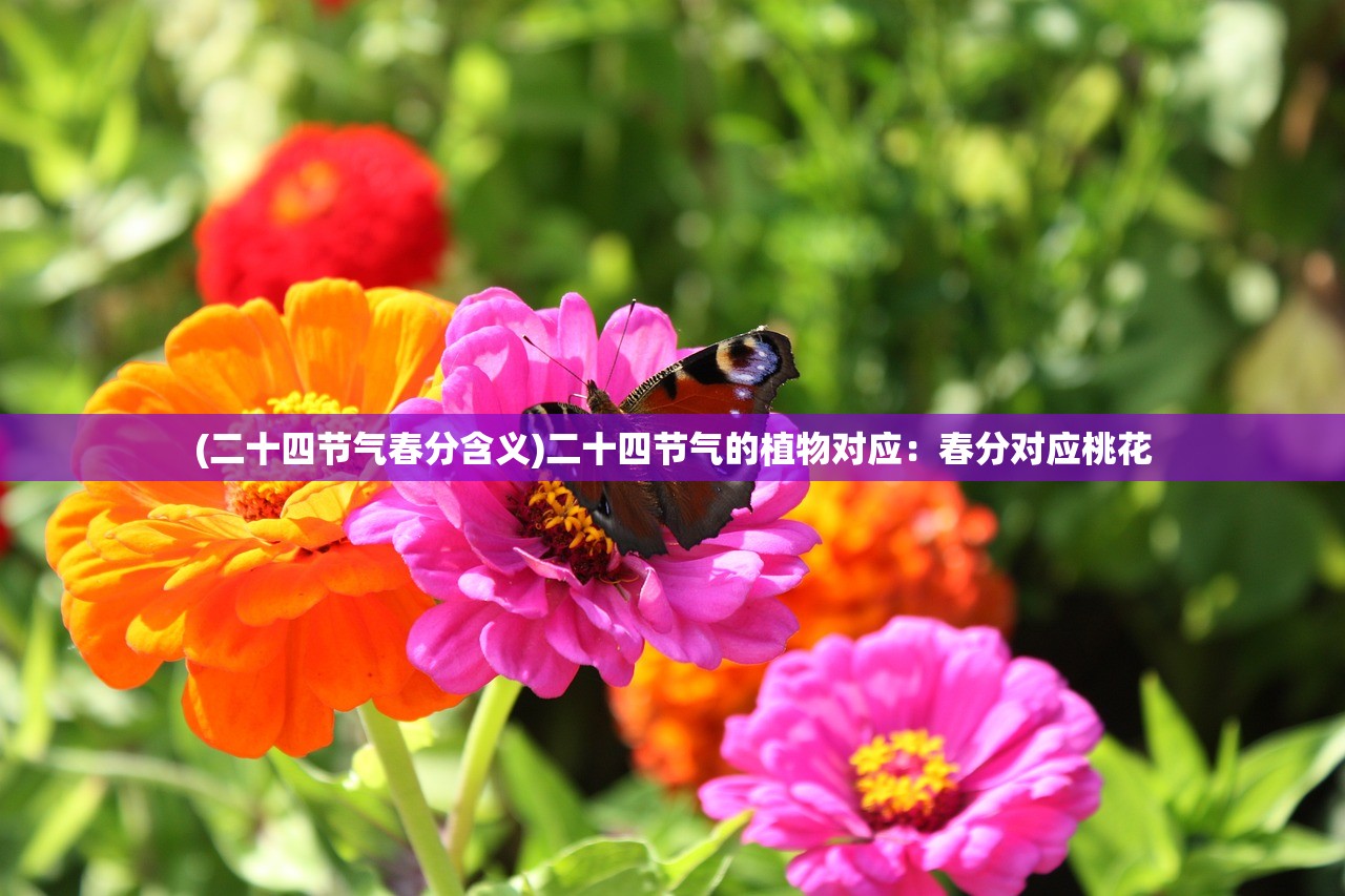 (批准拒绝v1.06汉化下载)归乡ver05汉化高压版，深度解析与常见问题解答
