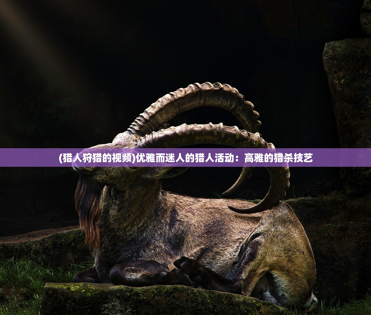 (传奇召唤师手游下载)传奇召唤师28手游，探索召唤之道的极致魅力