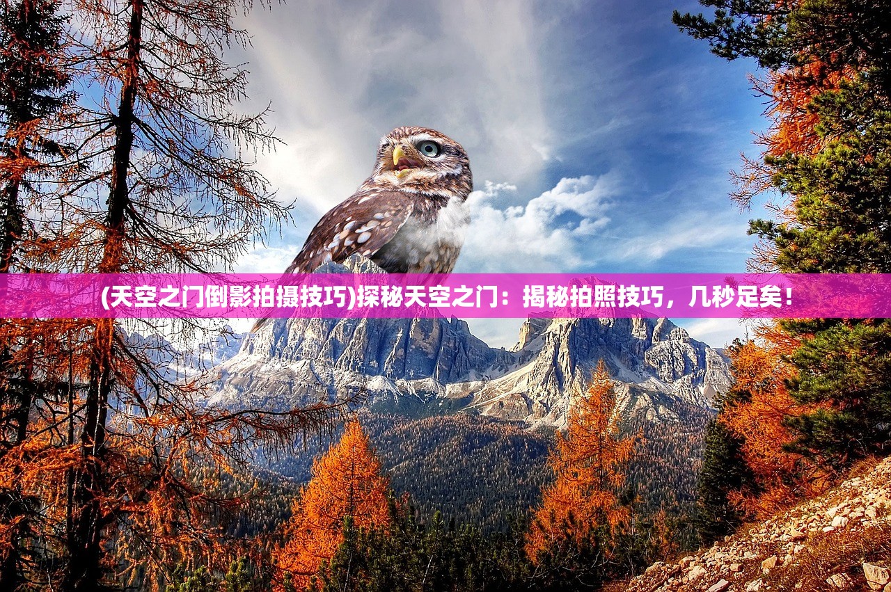 (乐高无限为什么下架了还会上架吗)乐高无限下架原因深度解析