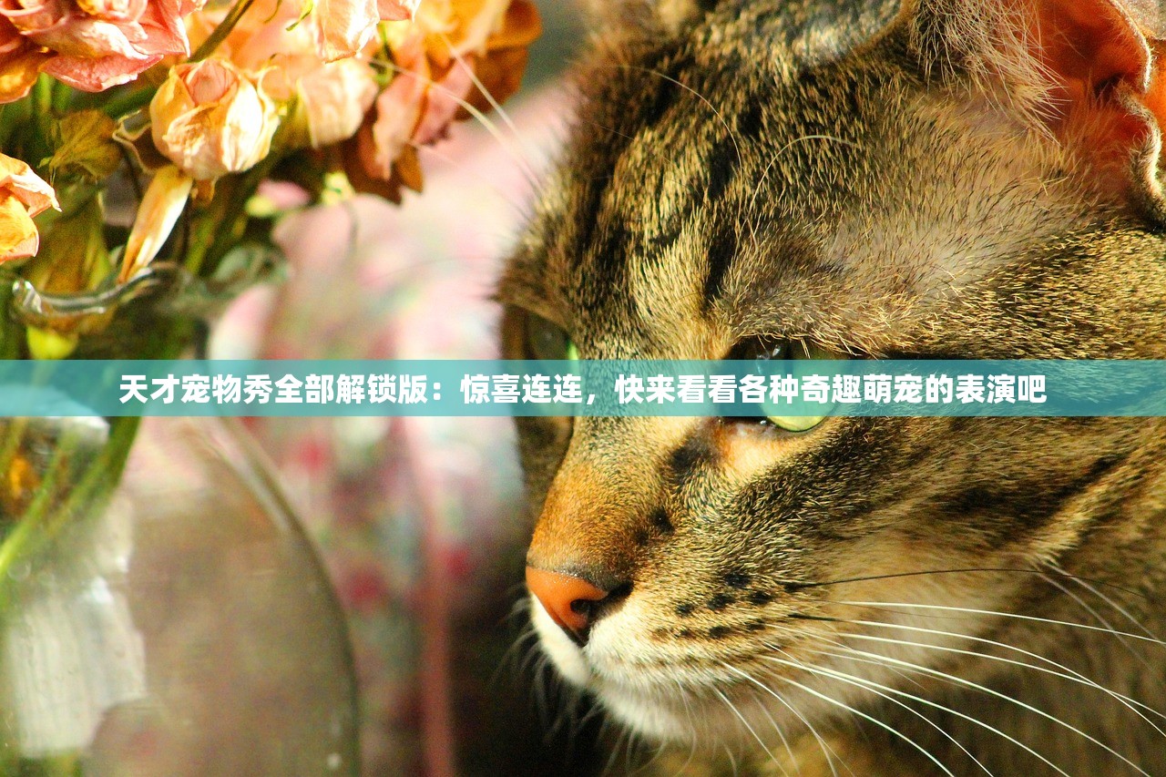 天才宠物秀全部解锁版：惊喜连连，快来看看各种奇趣萌宠的表演吧