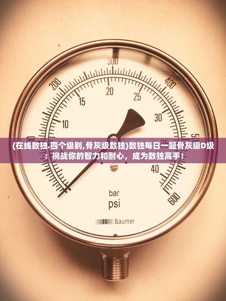 (在线数独.四个级别,骨灰级数独)数独每日一题骨灰级D级：挑战你的智力和耐心，成为数独高手！