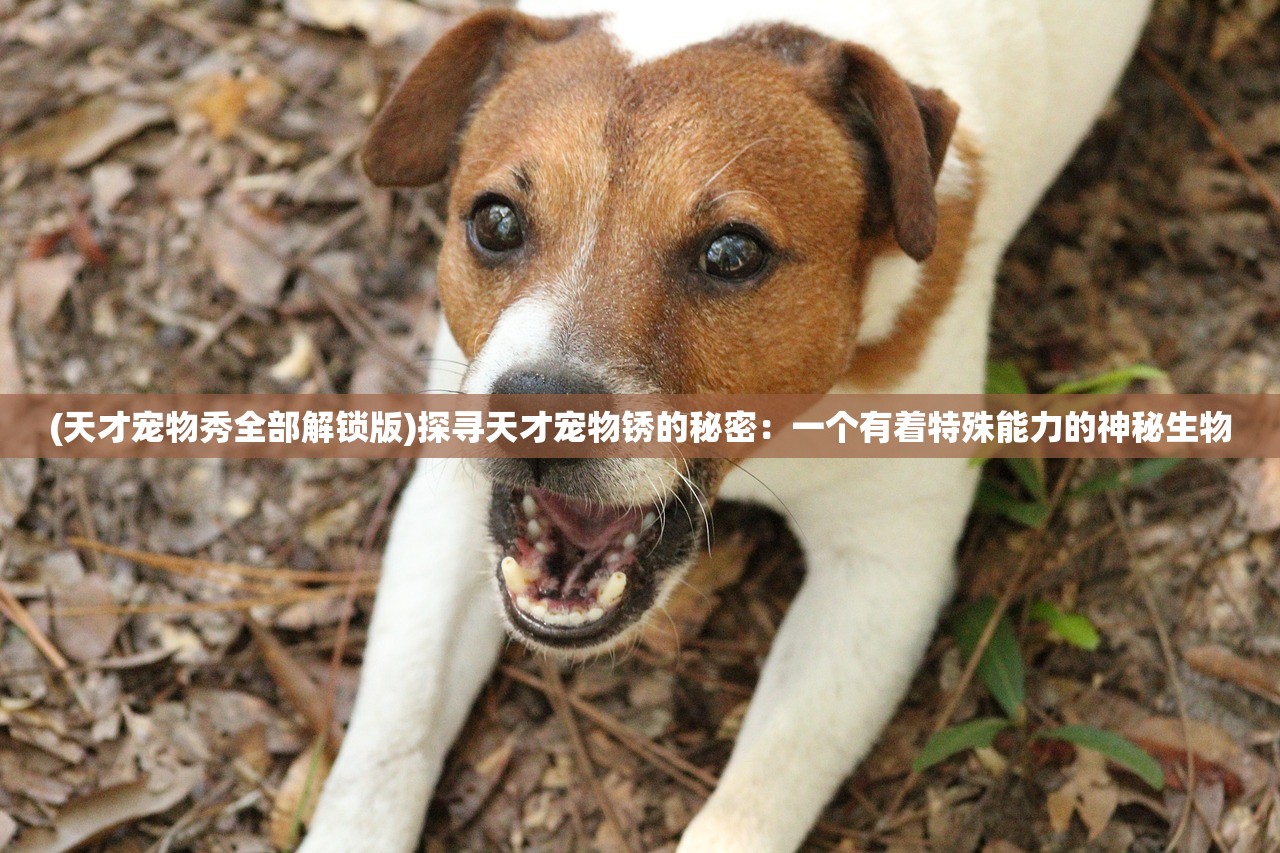 (问道最新升级攻略2020)问道攻略大全新手升级指南2023版，快速跃升至28级