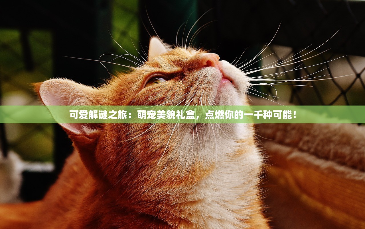 (诸神召唤礼包码)诸神召唤，神话与现实的交融