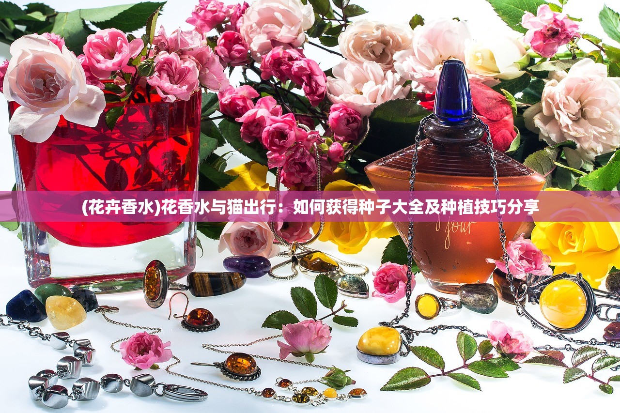 (龙之皇冠第三关地板顺序)龙之皇冠，神秘力量的象征与传承