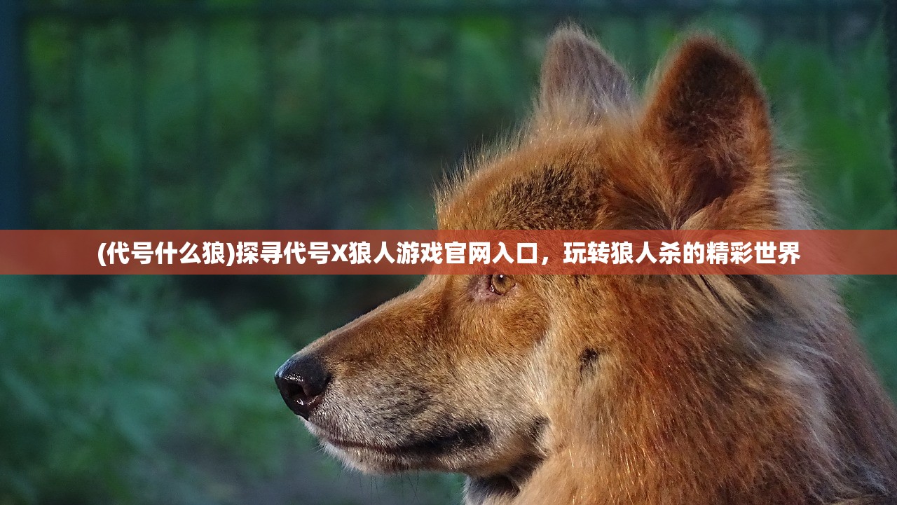 (古剑2游戏攻略)古剑奇谭二攻略游民指南——全方位解析与常见问答解答