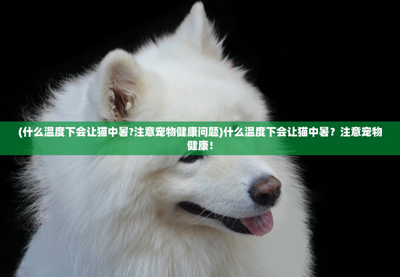 (富甲英雄传攻略)富甲英雄传手游辅助，探索与解析