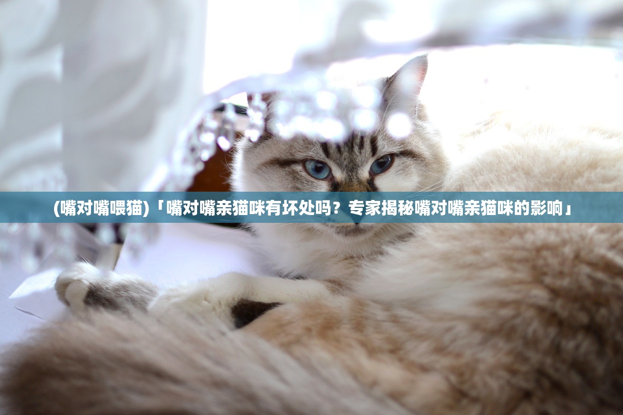 (光之守望0氪玩家最佳阵容)光之守望，探索最强后期阵容策略
