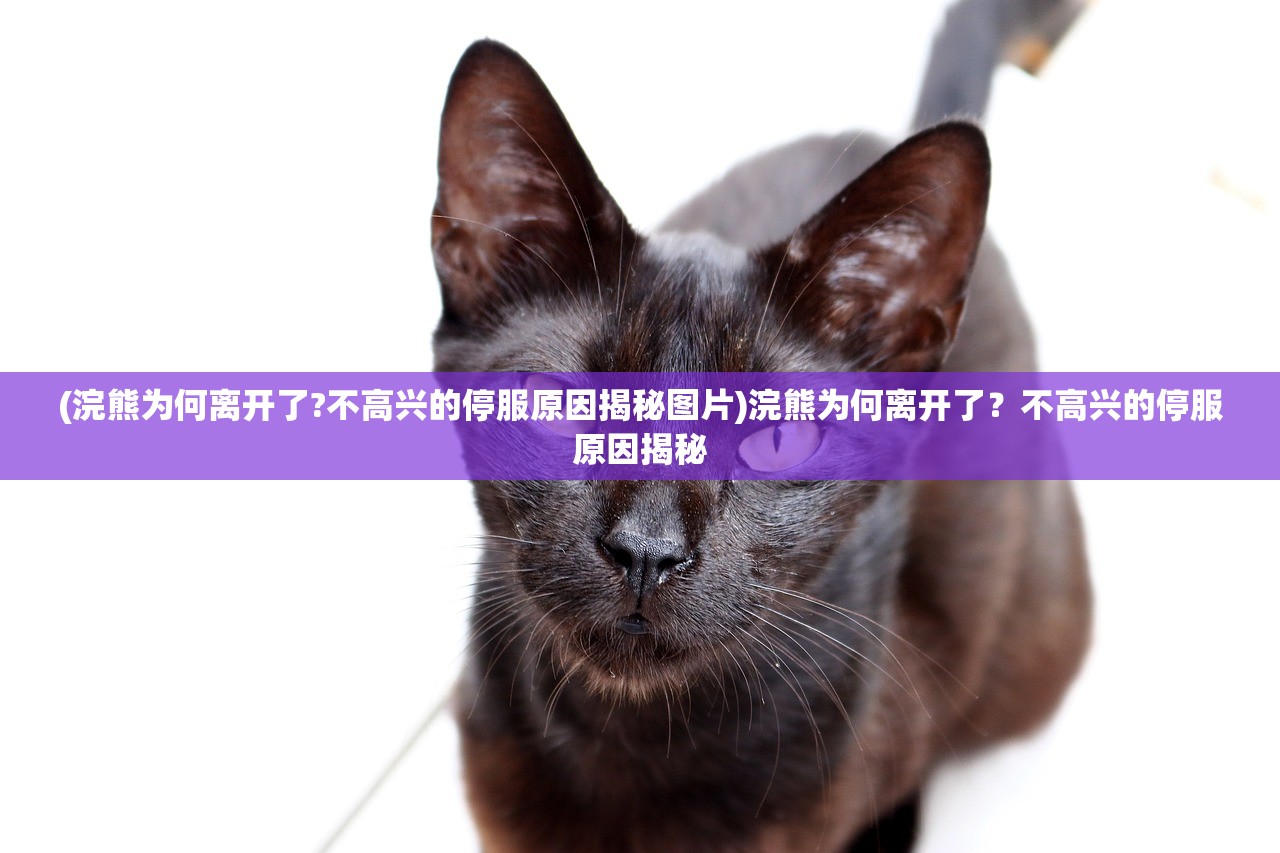 (霸王龙的肚子好疼)霸王龙肚子疼痛与生育之谜，一次独特的生物学探索之旅