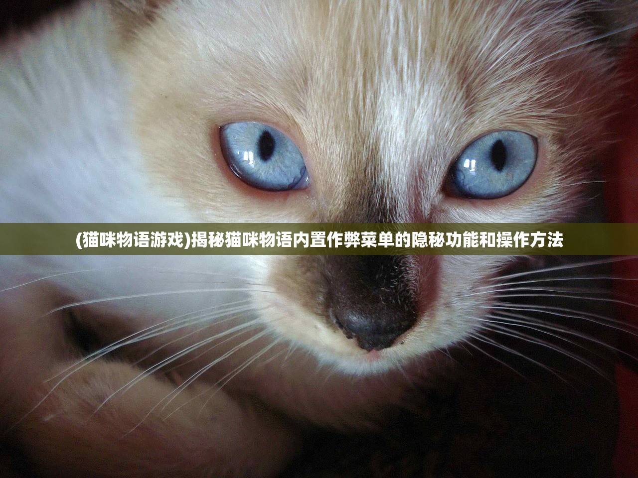 (铁骑征战手游官网)铁骑征战手游，策略与荣耀的战场征途