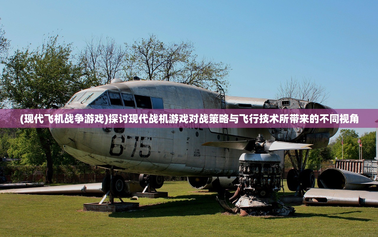 (神兽金刚手游怎么玩才厉害)神兽金刚手游攻略大全，玩转游戏的关键步骤与技巧